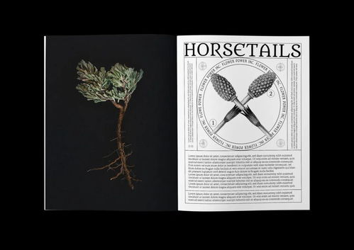 CGDA 2019視覺(jué)傳達(dá)設(shè)計(jì)獎(jiǎng)獲獎(jiǎng)作品賞析