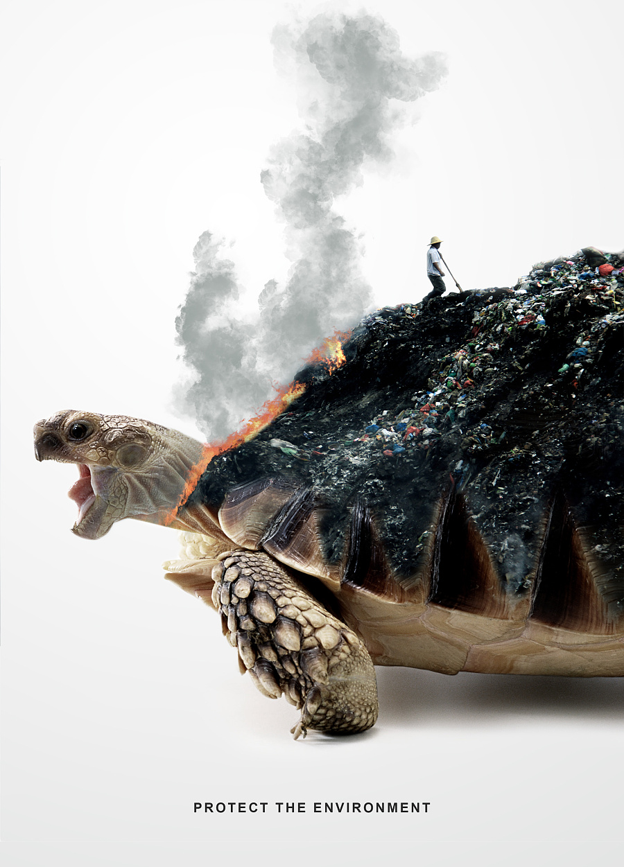 用藝術(shù)點(diǎn)亮動(dòng)物保護(hù) 胡子韓原創(chuàng)文藝海報(bào)設(shè)計(jì)