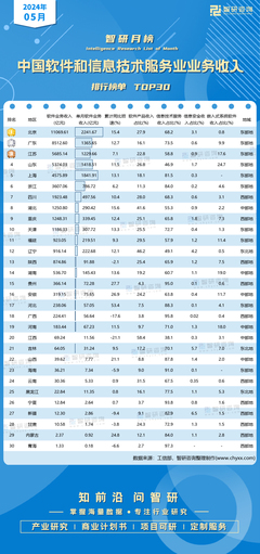 2024年5月中國軟件與信息技術(shù)服務(wù)業(yè)收入榜單揭曉，北京單月收入突破兩千億元大關(guān)