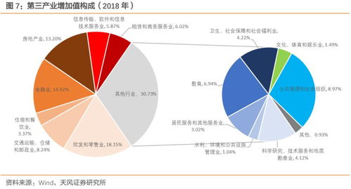 就地過年 一道復雜的一季度GDP數(shù)學題——以信息技術(shù)服務(wù)業(yè)為典型案例